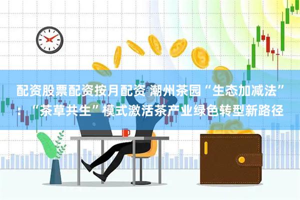 配资股票配资按月配资 潮州茶园“生态加减法”：“茶草共生”模式激活茶产业绿色转型新路径