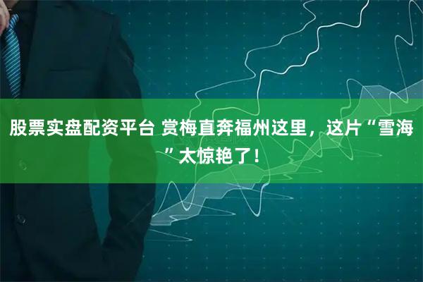 股票实盘配资平台 赏梅直奔福州这里，这片“雪海”太惊艳了！