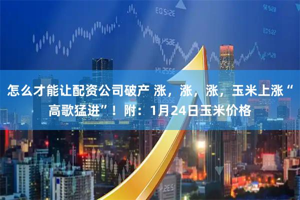 怎么才能让配资公司破产 涨，涨，涨，玉米上涨“高歌猛进”！附：1月24日玉米价格