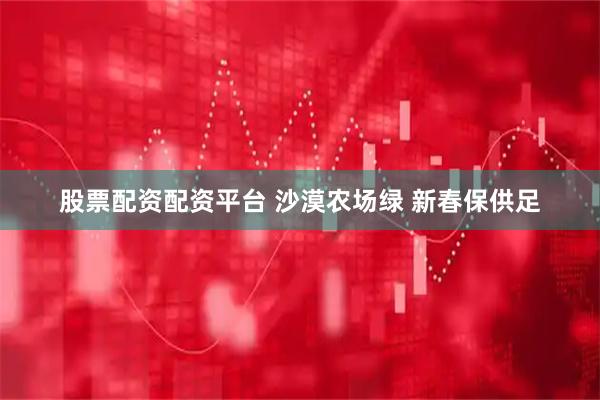 股票配资配资平台 沙漠农场绿 新春保供足