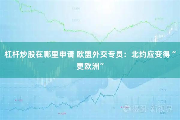 杠杆炒股在哪里申请 欧盟外交专员：北约应变得“更欧洲”