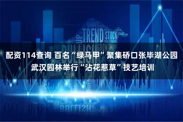 配资114查询 百名“绿马甲”聚集硚口张毕湖公园 武汉园林举行“沾花惹草”技艺培训