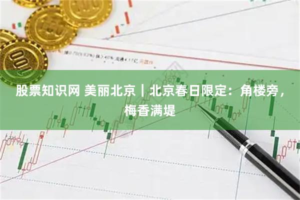 股票知识网 美丽北京｜北京春日限定：角楼旁，梅香满堤