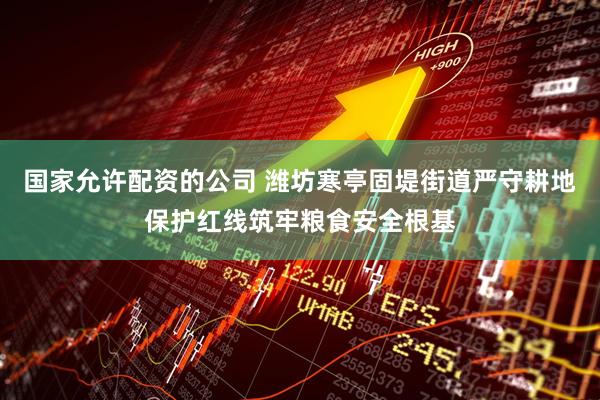 国家允许配资的公司 潍坊寒亭固堤街道严守耕地保护红线筑牢粮食安全根基
