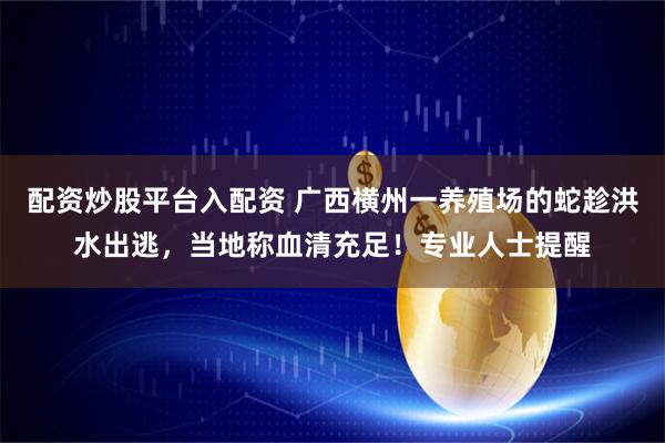 配资炒股平台入配资 广西横州一养殖场的蛇趁洪水出逃，当地称血清充足！专业人士提醒