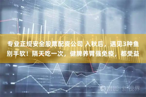 专业正规安全股票配资公司 入秋后，遇见3种鱼别手软！隔天吃一次，健脾养胃强免疫，都受益